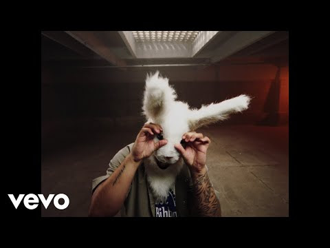 Ver video