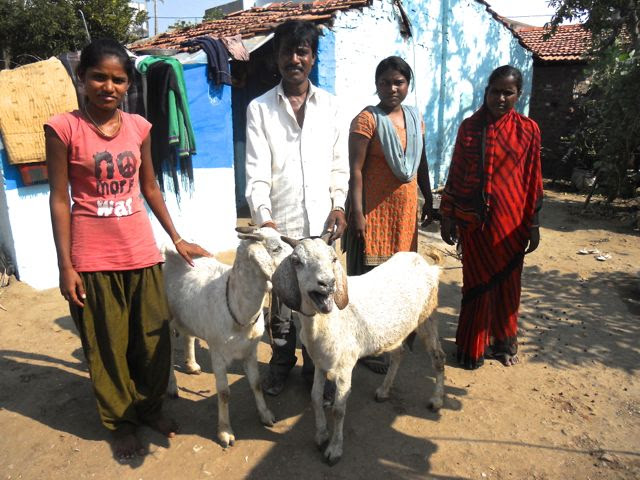 Lives Changed with Goats | Prakash 4 India