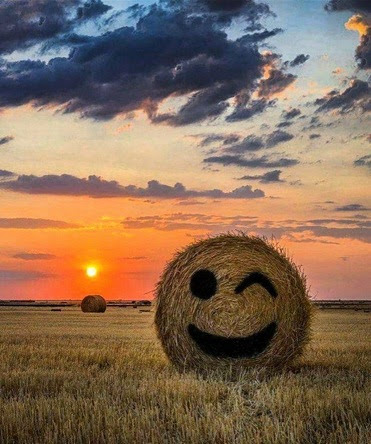 Smiley-face-Hay-Bale