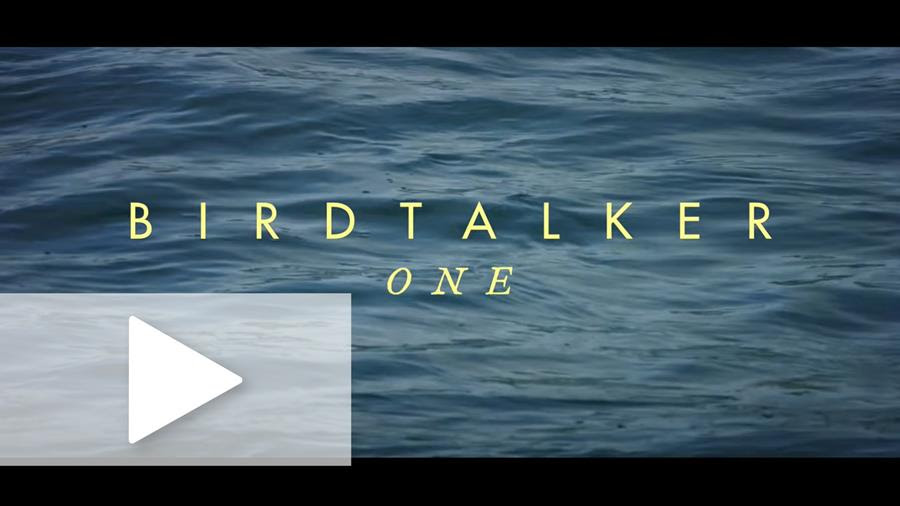 Birdtalker music video