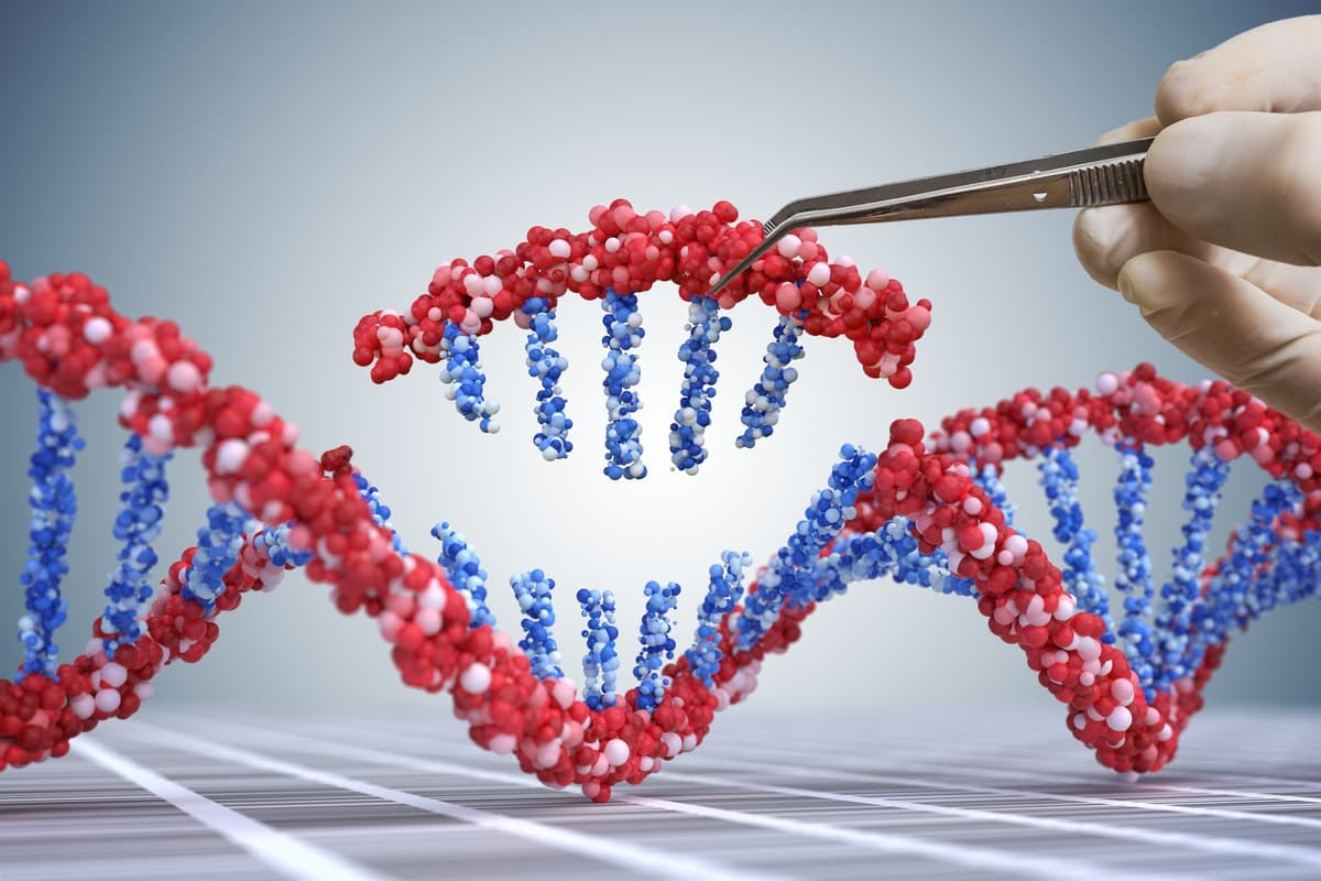 PASTE is a new variation on the CRISPR gene-editing system that should be more gentle on the genome