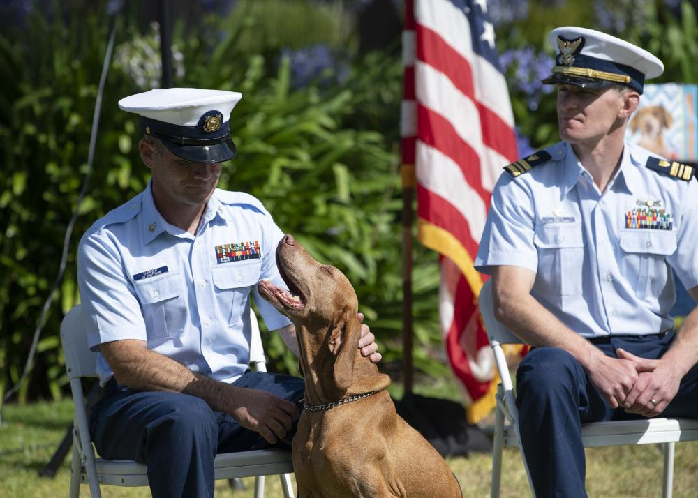 Perro de trabajo militar de la Guardia Costera se retira
