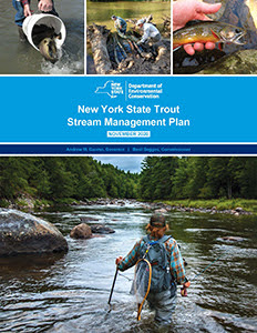 Trout Stream Management Plan