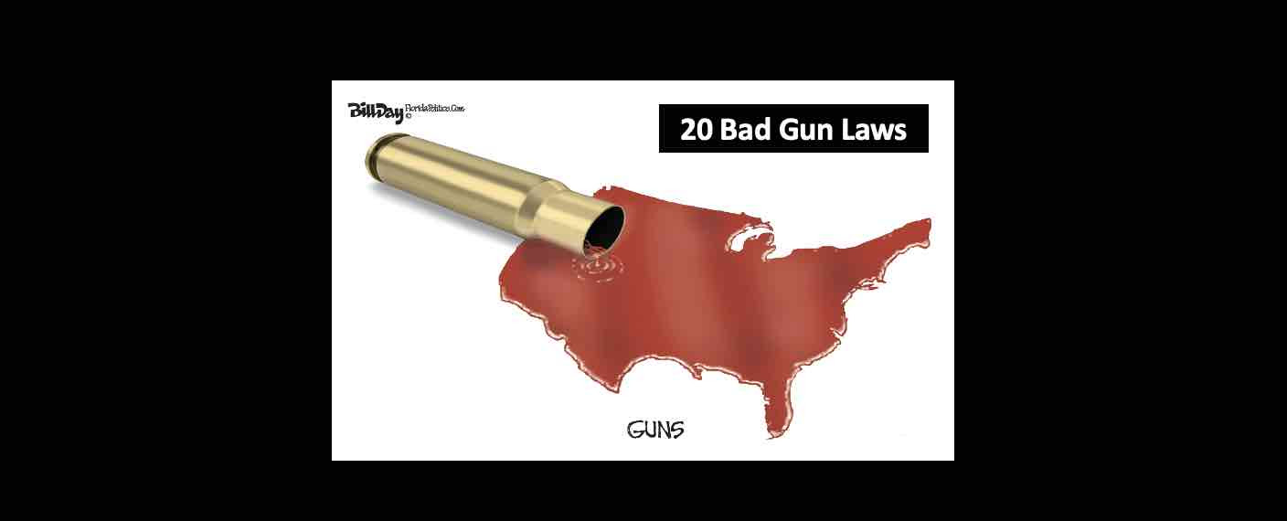 20 Bad Gun Laws cause more Americans to be killed in acts of senseless violence.
