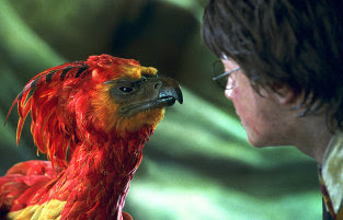 От курочки Рябы до феникса из Гарри Поттера: зачем нам столько сказочных птиц?