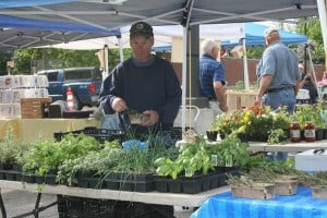 Heim Gardens always has terrific carrots, corn, beans and other vegetables.