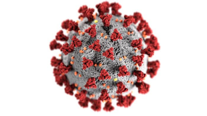 23312_lores_coronavirus_covid.jpg