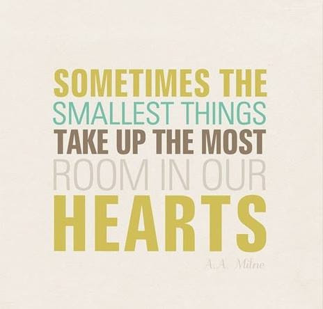 Sometimes the smallest things take up the most room in our hearts. #quotes