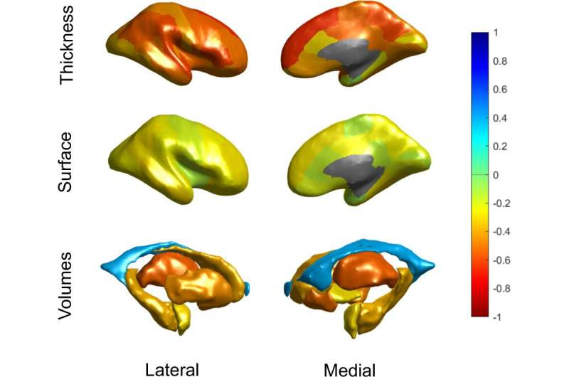 Brain aging in people with schizophrenia