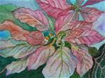 "Pink Poinsettias" - Posted on Tuesday, December 2, 2014 by Egretta Wells