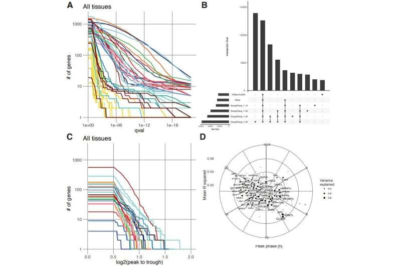 Gender and age differences found in gene expression related to circadian clock