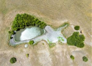 Aerial photo looking down on a pond with low water levels due to drought.