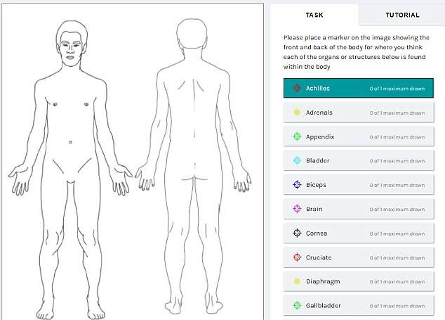 The quiz gives a blank template of a man's body and asks users to mark 25 different types of organ or muscle