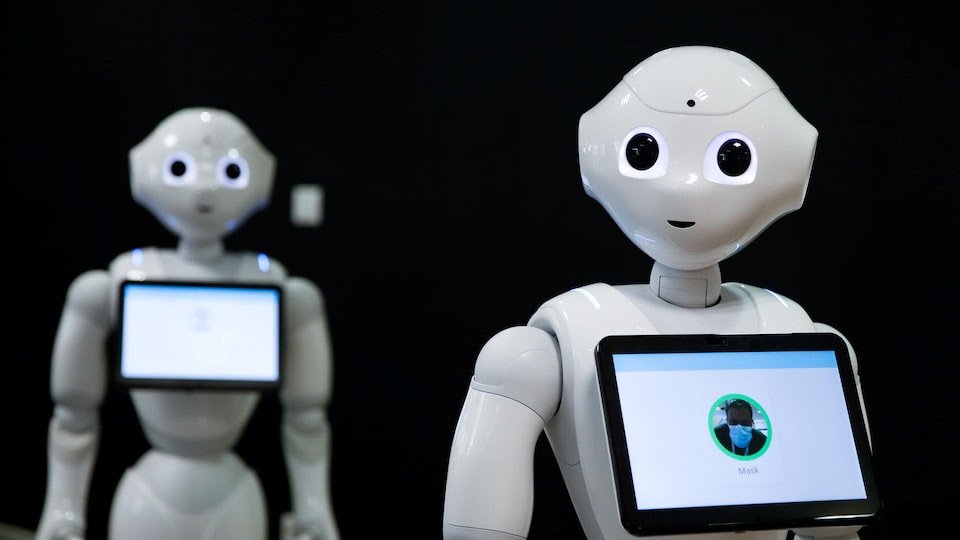 On aperçoit deux robots de couleur blanche qui ont un visage humanoïde.