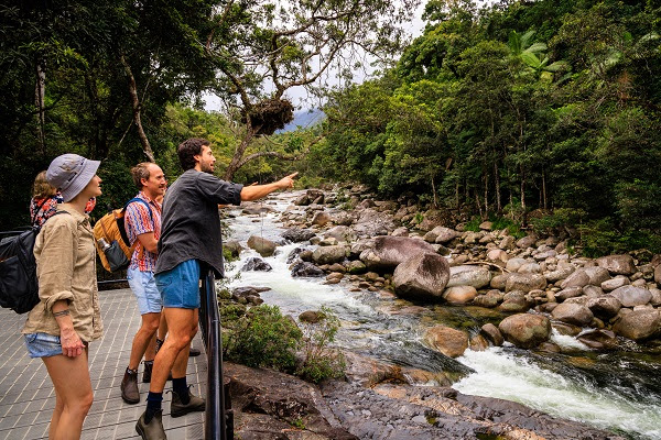 Daintree National Park - Cairns & Far North Queensland