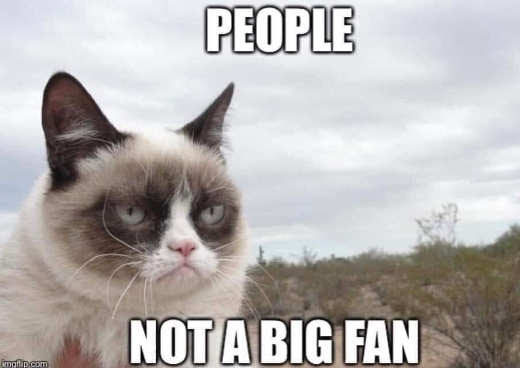 grumpy cat people not big fan