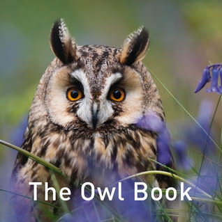 The Owl Book EPUB