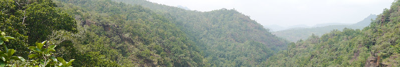 ... dense forests of Pachmarhi