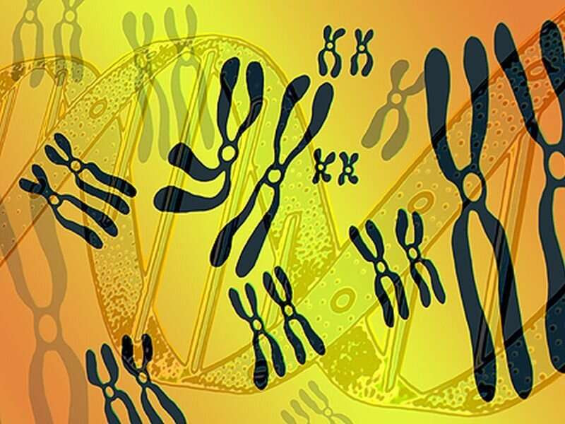 Eleven novel loci identified for rheumatoid arthritis