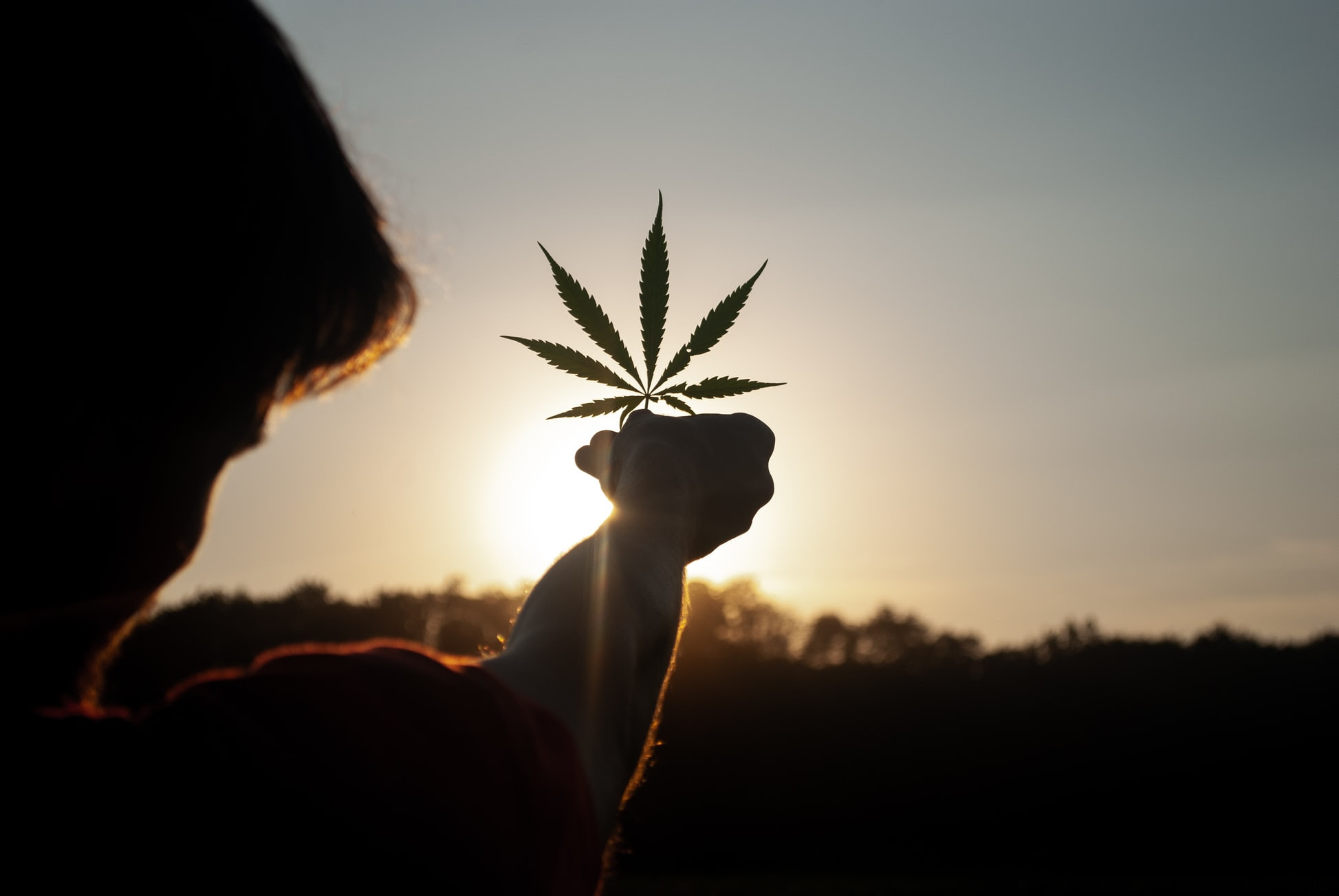 NARCO-POLITIK: ‘The Cannabis Conspiracy’, The Police State Marches On Unsplash-Cannabis-Leaf-1