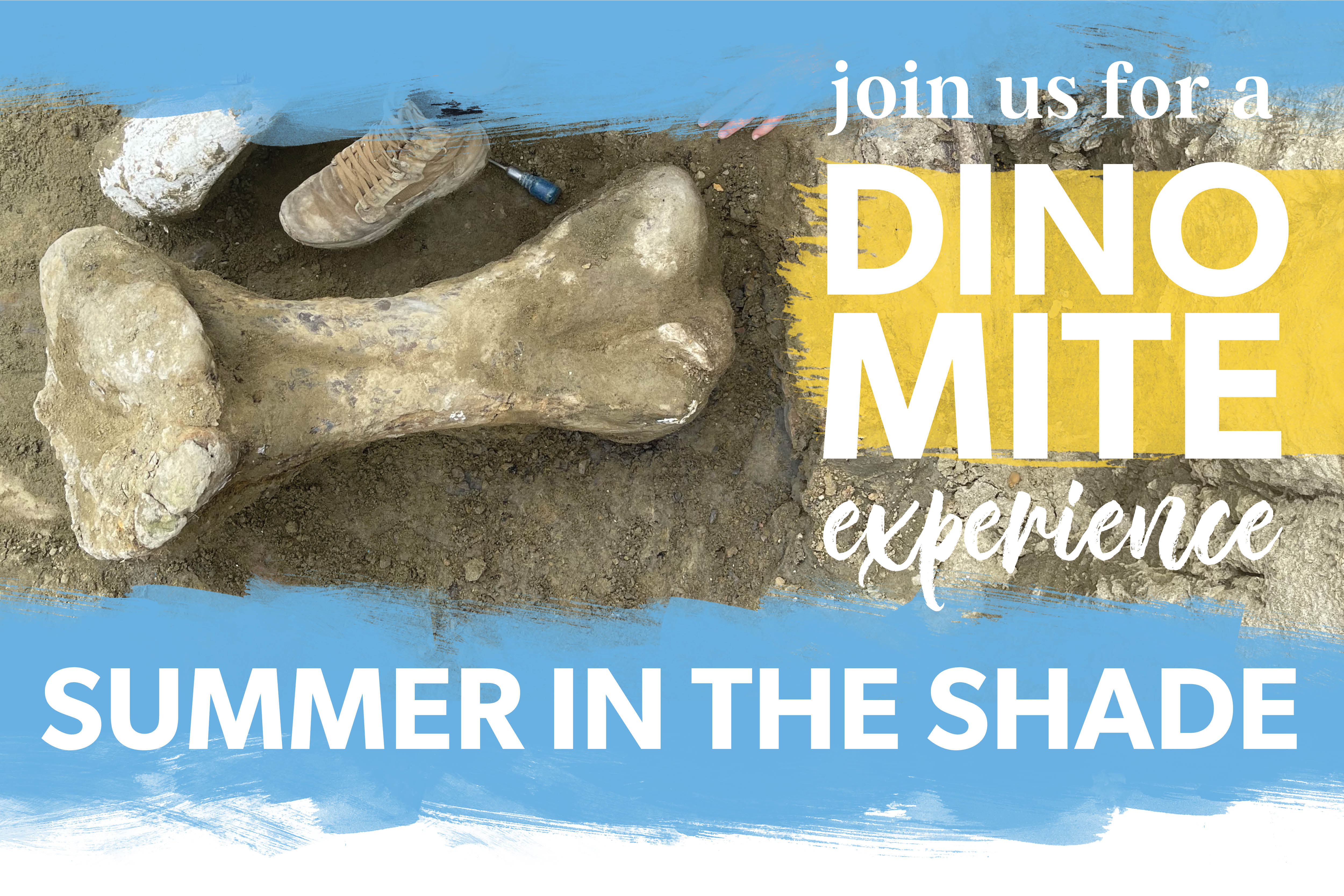 Join Westminster College for a Dino-Mite Experience!