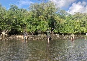 Volunteers spreading limestone as substrate for oysters