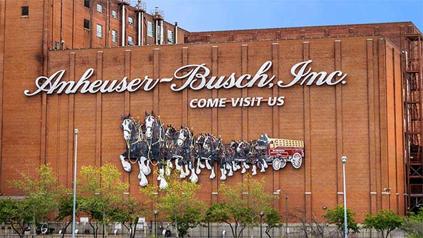 Anheuser-Busch Suffers Bloodbath