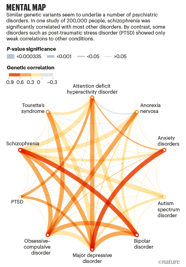 Mental map. Diagram showing correlations between disorders.