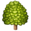 :deciduous_tree: