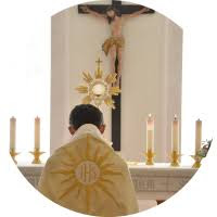 Vierge Pélerine - 30 jours à la Consécration « à Jésus par le Cœur Immaculé de Marie »  59d4e106e694aa3f1509effd