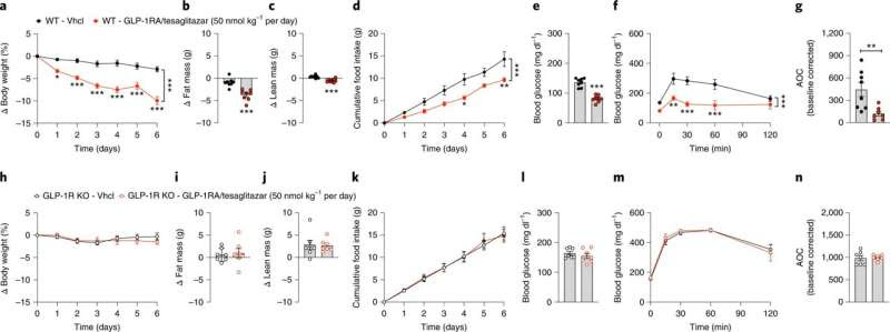 New drug candidate developed to treat type 2 diabetes