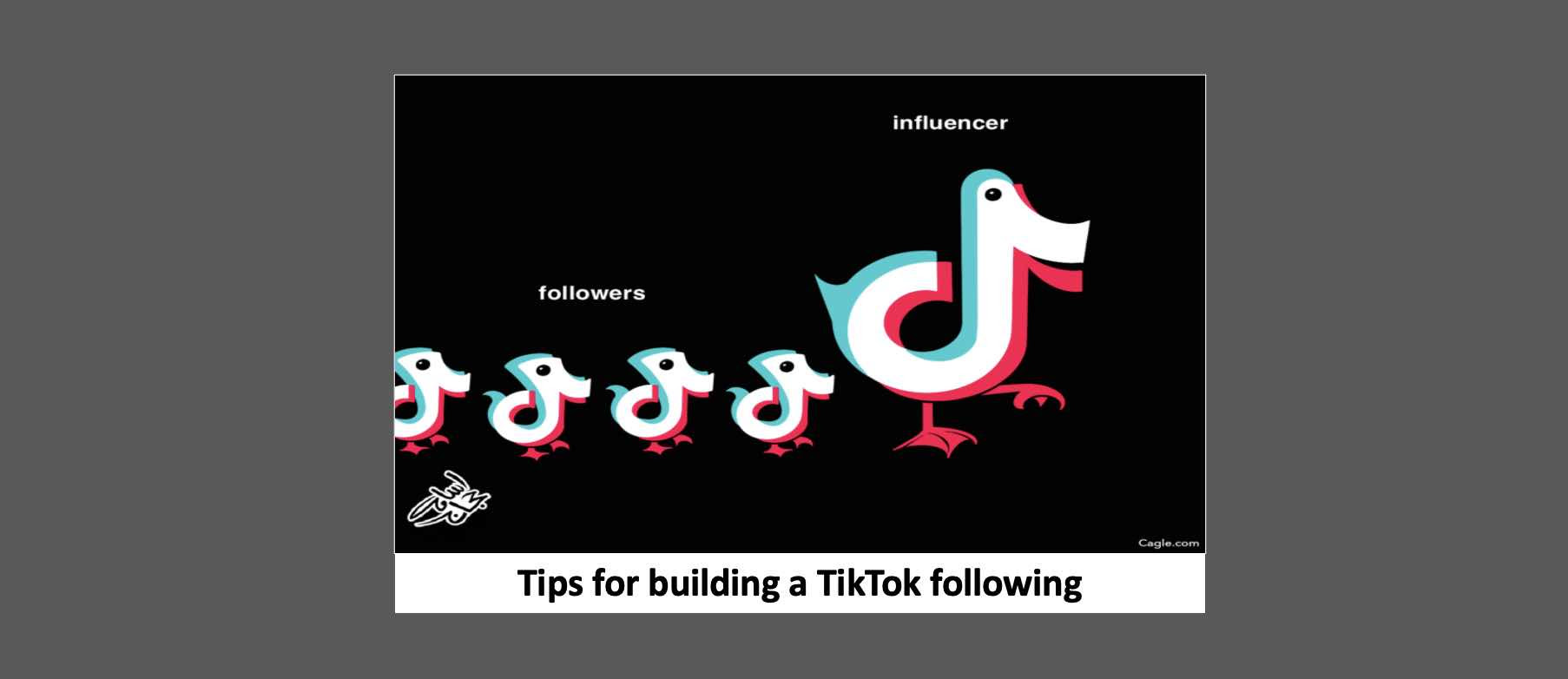 Tips to build a TikTok following