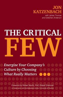 The Critical Few: Energize Your Company's Culture by Choosing What Really Matters EPUB