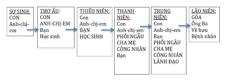 Vai Trò Trong Đời Người