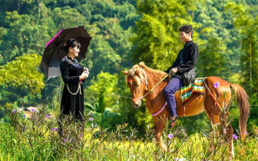 Độc đáo dịch vụ cưỡi ngựa homestay - Kênh truyền hình Đài Tiếng nói Việt Nam - VOVTV