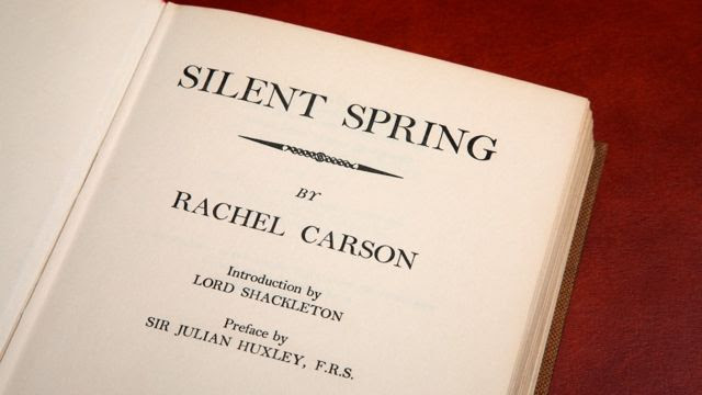 Livro "Primavera silenciosa"
