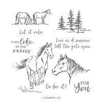 Let It Ride Cling Stamp Set Let It Ride Cling Stamp Set