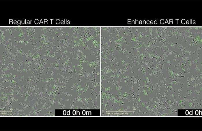 Programming the immune system to supercharge cancer cell therapies