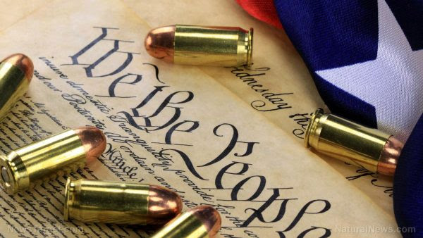 Another State Is About To Nullify All Federal Gun Laws!