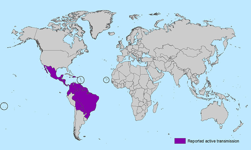 Zika outbreak map