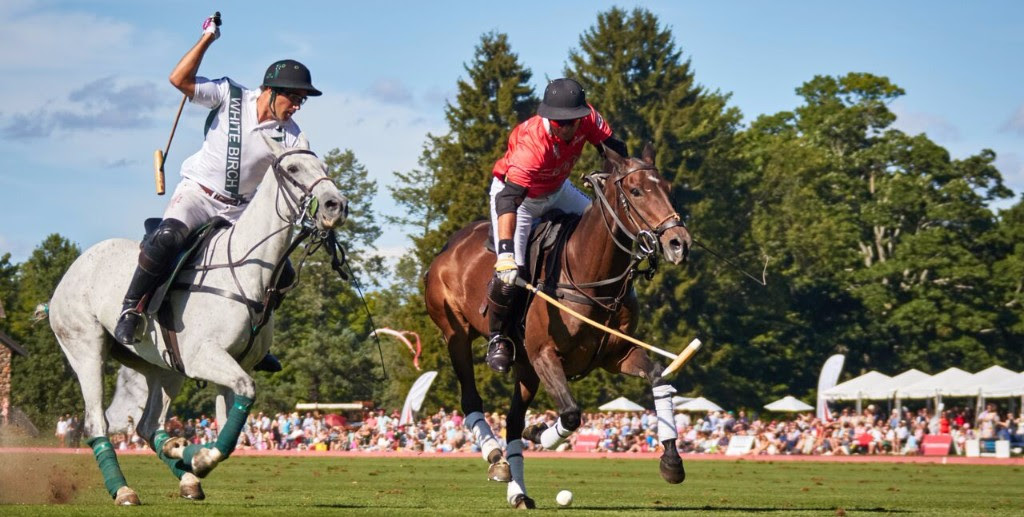Galloping to the 2017 East Coast Open!