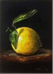 Lemon with Leaves No 14. Oil on linen 7” x 5” - Posted on Sunday, January 18, 2015 by Nina R. Aide