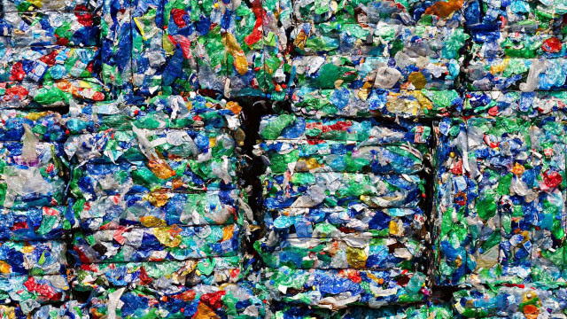 Rock In Rio: 14,5 toneladas de material reciclável recolhidas em um dia de evento