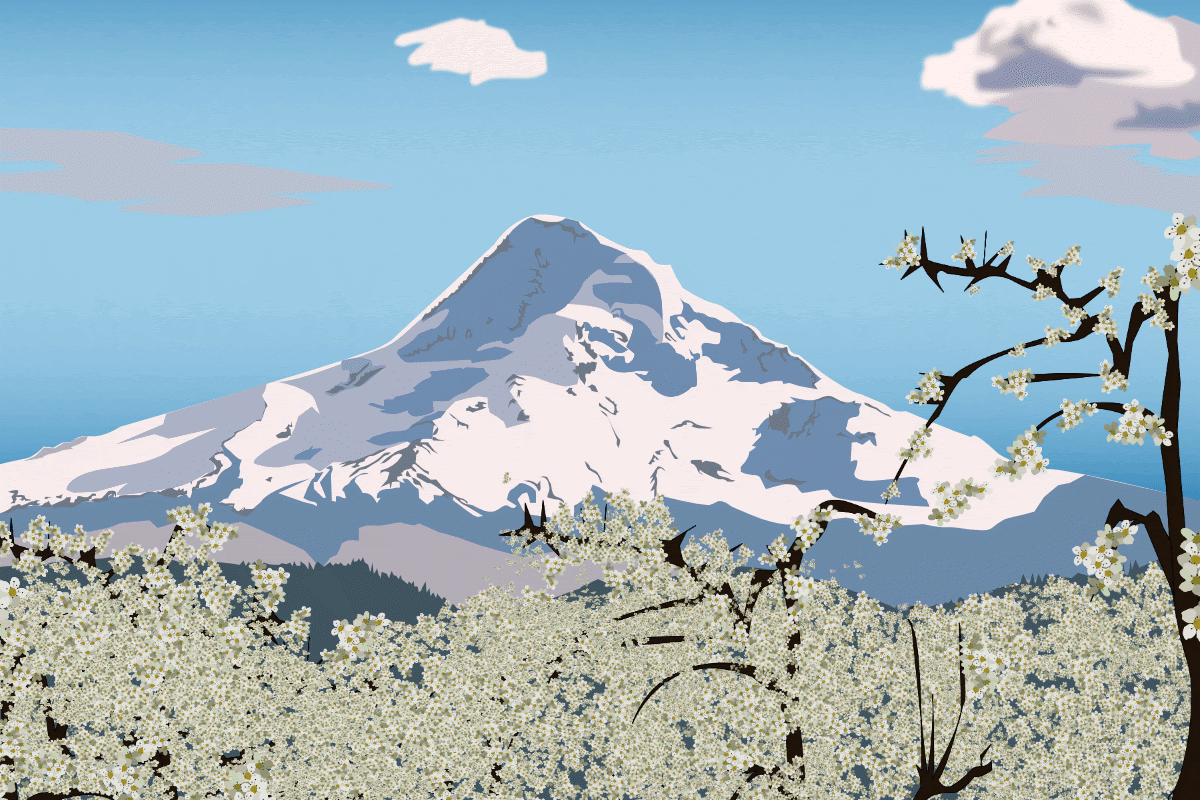 Stylized image of Mt Hood with blossoms in the foreground, Clackamas and Hood River counties, Oregon
