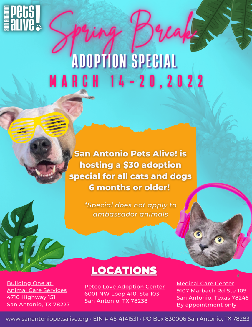 Celebrate EAC Pet Adoption Special, Animal Defense League of Texas - San  Antonio
