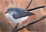 Blue Grey Gnatcatcher ACEO - Posted on Thursday, January 8, 2015 by Janet Graham