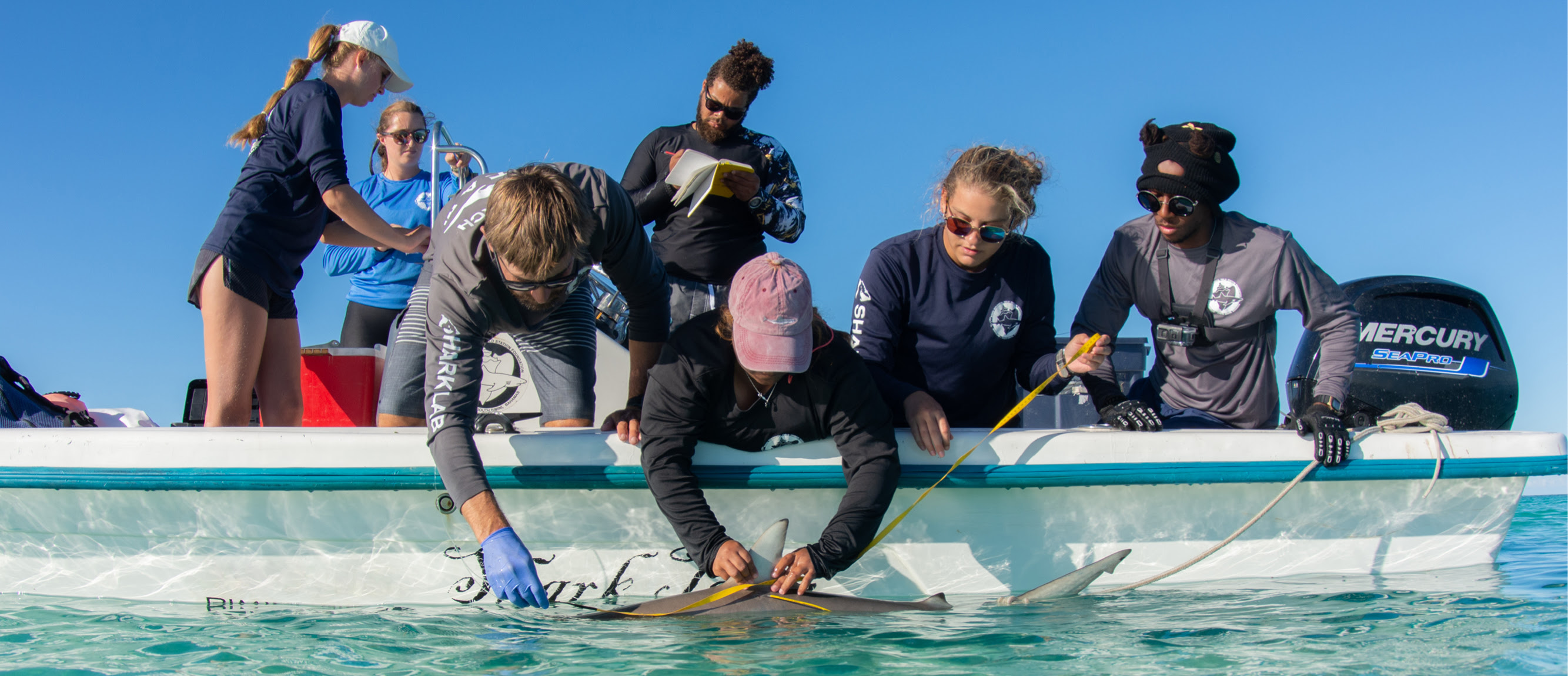 Research, Education and Conservation at the "Shark Lab"