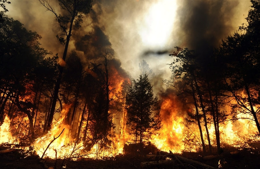 The Austin Fire Department is hosting a Wildfire Preparedness Symposium on Saturday.