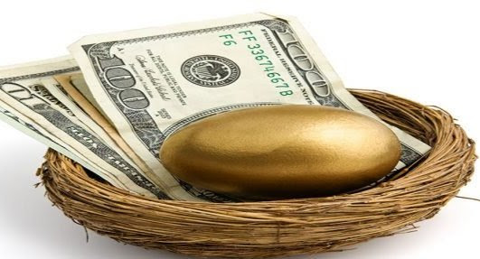 Photo of a birds nest full of cash and one golden egg Photo of a birds nest full of cash and one golden egg