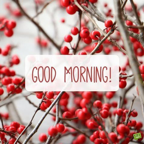 Good_Morning_Berries